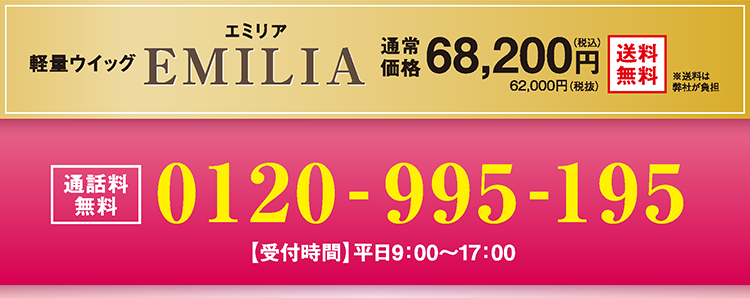 エミリア ウィッグ 簡単